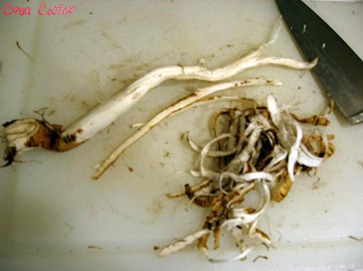 curarsi con le erbe20.2