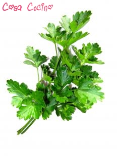 curarsi con le erbe: succo di prezzemolo